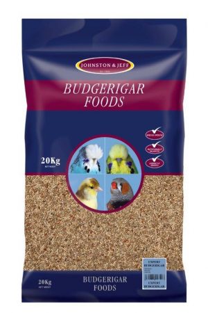 Expert Budgerigar