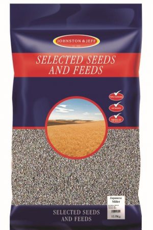 Japanese Millet