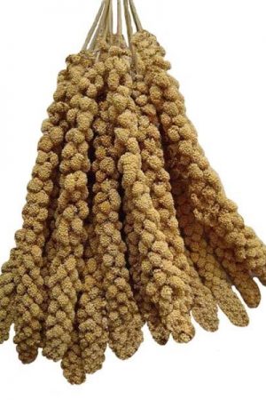 Premium Millet Sprays